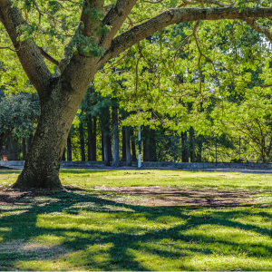 Amplios jardines